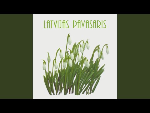 Papu, saki mammai pats