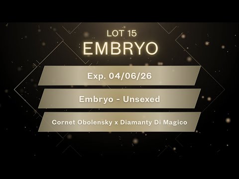 Implanted Embryo – Cornet Obolensky x Diamanty Di Magico