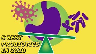 Best Probiotics for Men and Women in 2020