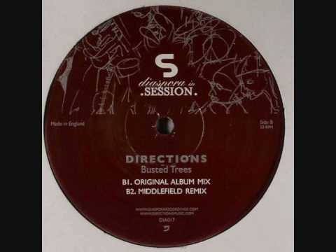 Directions - Busted Trees (Middlefield Remix)