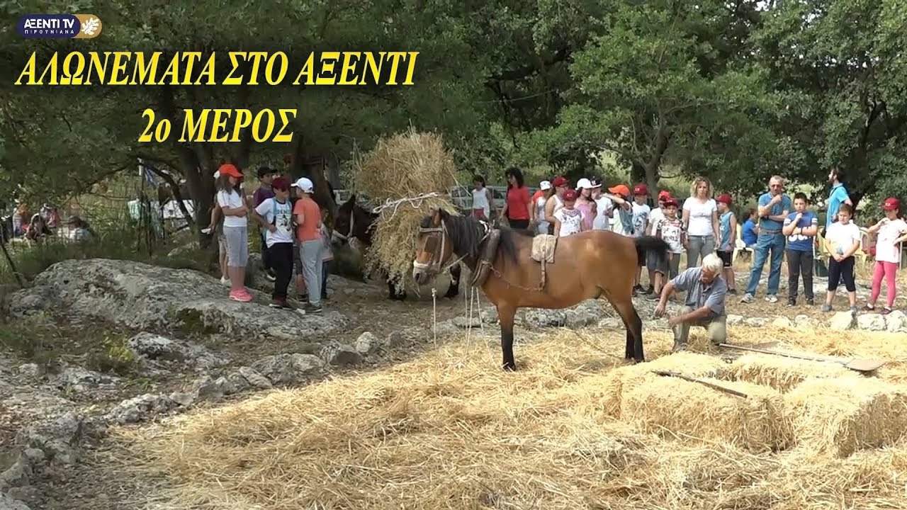 Αλωνέματα στο Αξέντι | Πιρουνιανά Αγίας Βαρβάρας...2ο Μέρος