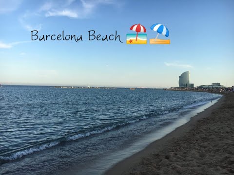 Barcelona Beach ⛱️🏖️