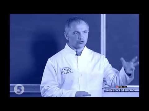 Грудной отдела позвоночника фото От чего увеличился сустав на кисти руки что это может быть