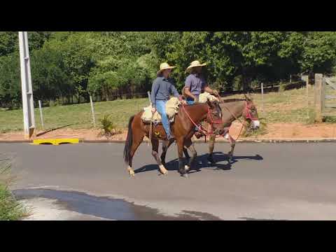 Encontro de comitivas Osvaldo Cruz