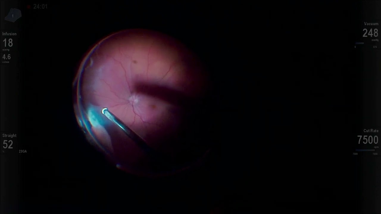 Ahmad Mohamad Ali Hamade-6