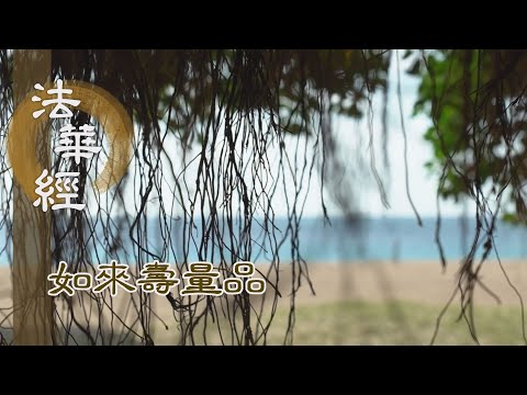 【靜思妙蓮華】法華經如來壽量品 - 為樂小者 施以權教 - 20231011 第1521集