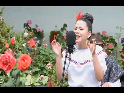 EL BARCINO - KATERIN MUÑOZ