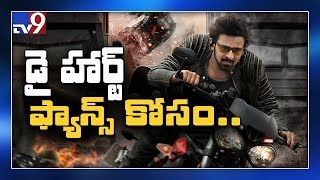 ‘Saaho’ special for Prabhas fans || Pre Release Event @ Sunday 5 PM – Exclusive