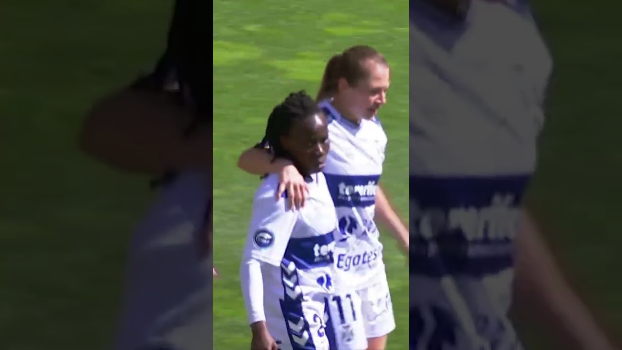 DUX Logroño vs Costa Adeje Tenerife Highlights