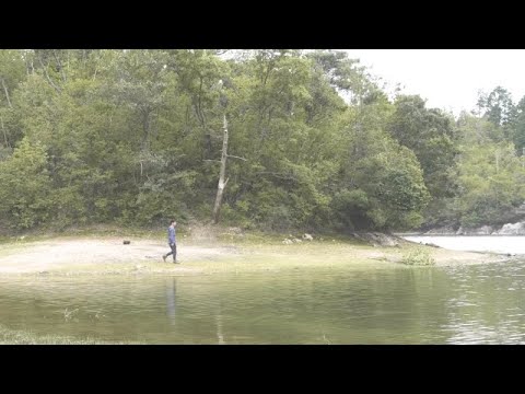 【京都一周トレイル®公式】北山西部コース