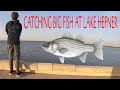 Fishing at Lake Hefner! (BIG FISH CAUGHT)