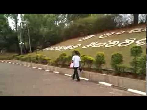 Me Nagaraya (මේ නගරය මා ඔබ-මර්වින් පෙරේරා)