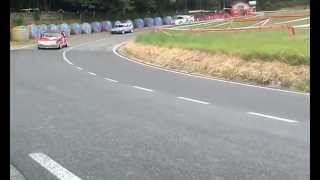 preview picture of video 'Discesa Rally Passo dello Spino 2014 Pieve Santo Stefano'