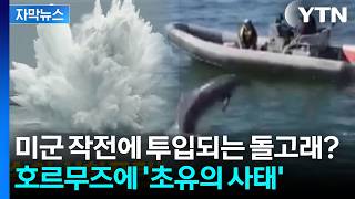 [자막뉴스] '죽음의 파괴력'가진 기뢰...호르무즈 향한 美 특단의 조치 / YTN