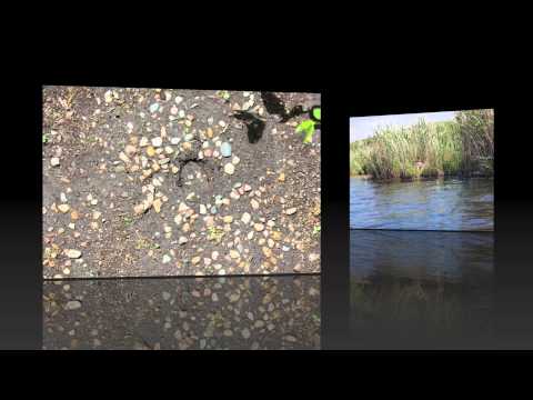 2014 Nature of Technology Camp Student Showcase