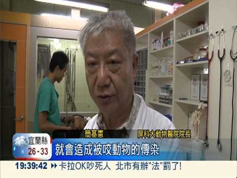 山產恐帶原 小心吃進狂犬病!