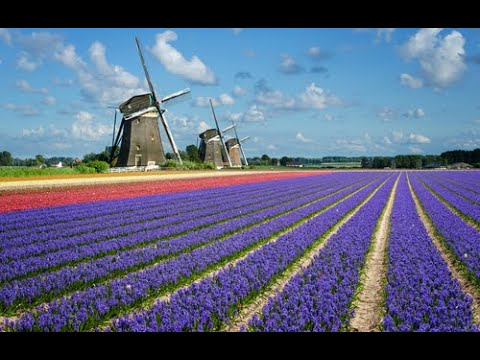 Soundsystem Dubplates In The Area #reggae #dub mix june 10  2023