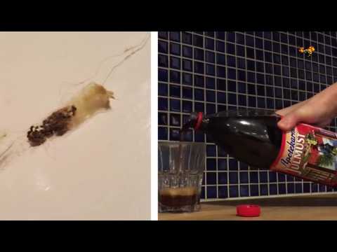 Lizette, 24, fick en obehaglig överraskning i populära julmusten