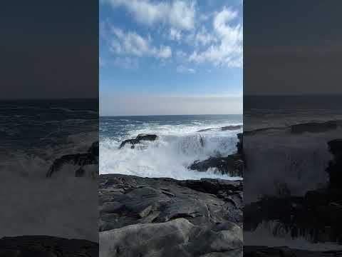 Cementerio Zapallar #quintaregion