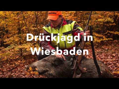 Drückjagd in Wiesbaden