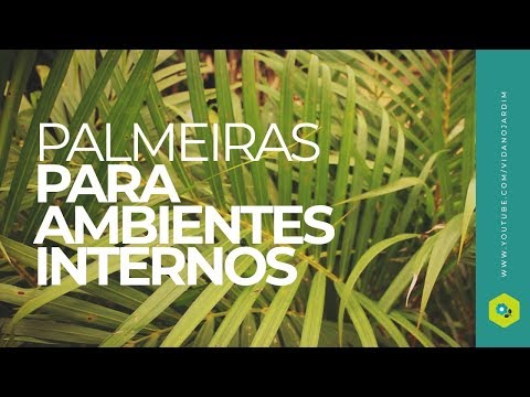 , title : 'Palmeiras para ambientes internos'