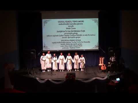 9ti rođendanski koncert Etno grupe "Carza"Drvar