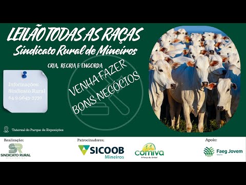 LEILÃO TODAS AS RAÇAS - MINEIROS-GO | 16/03/2026 | 19:30h
