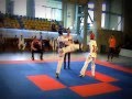 taekwondo ARM-GEO henry badalyan shukakidze ...