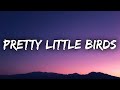 SZA Pretty Little Birds Lyrics Ft Isaiah Rashad