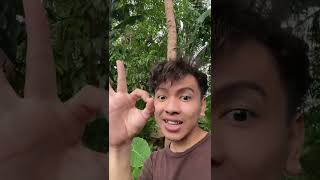 Download lagu Make firecrackers using leaves 😱 #shorts mp3