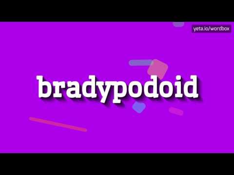 BRADYPODOID - HOW TO PRONOUNCE IT!?