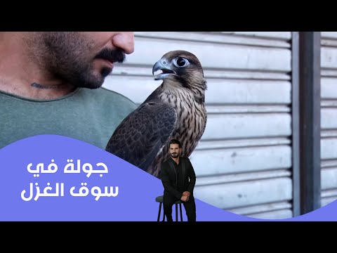 فيديو | جولة في سوق الغزل