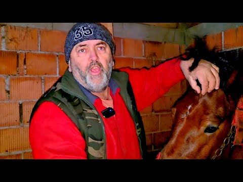 VELIKA ODLUKA I PREOKRET KOD SMAJICA 