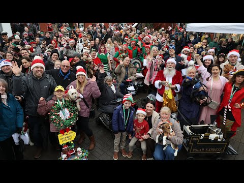 Hundreds of dogs and owners in UK wear festive costumes for Christmas parade | SWNS
