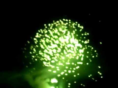 IGNIS BRUNENSIS 2008