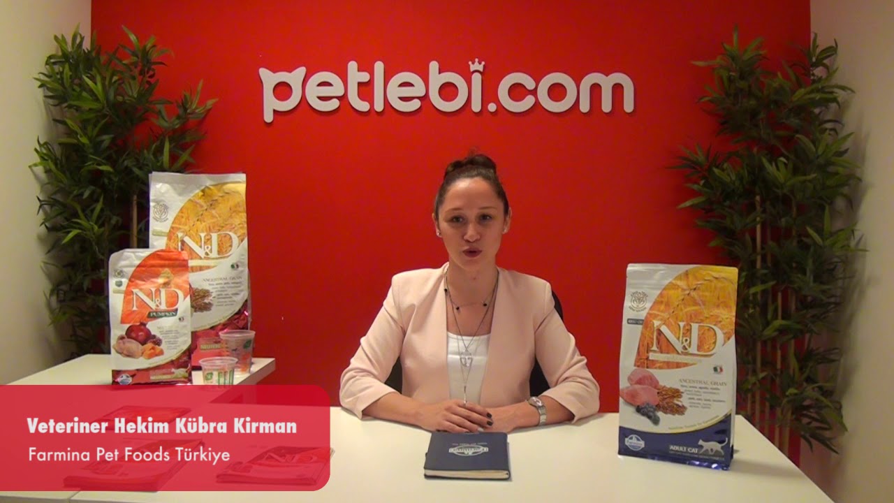 N&D Ancestral Grain Kuzu Etli ve Yaban Mersinli Ata Tahıllı Yetişkin Kedi Maması 5kg tanıtım video görseli