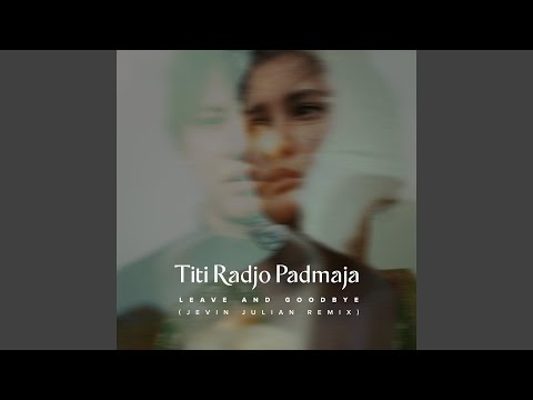 Leave and Goodbye (Remix)