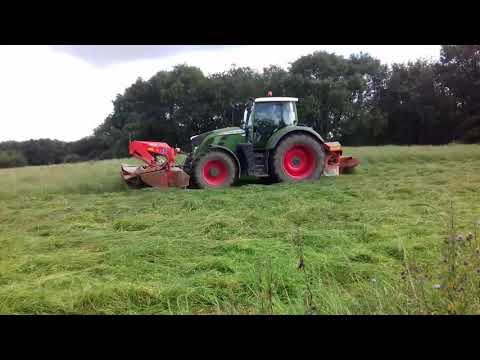 Wigan on the farm land