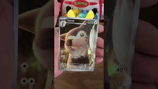 Ferret 🥰 #cutepokemon #pokemonchannel #pokemontcg #pokemoncommunity