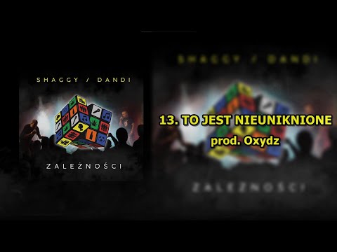 13. SHAGGY SHG/DANDI - TO JEST NIEUNIKNIONE | prod. Oxydz
