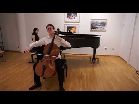 J.Haydn - Cello Concerto in D-Dur (Hob. VIIb:2), 2 Movement (Live)