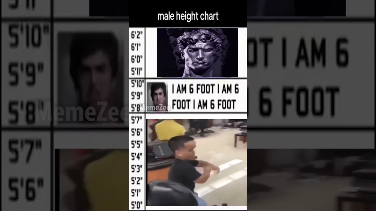 real height chart