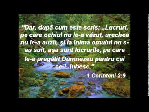 Adi Pop - Mai sus de stele