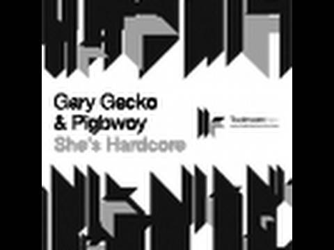 Gary Gecko & Pigbwoy - She's Hardcore - Leeroy Thornhill Remix