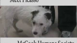 preview picture of video 'McCook Humane Society'