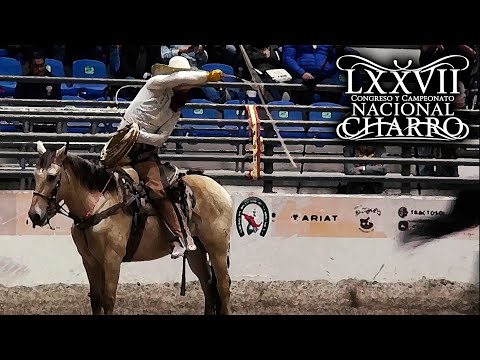 Manganas on Horseback - Quarterfinals, November 18 - Aguascalientes Congress 2021