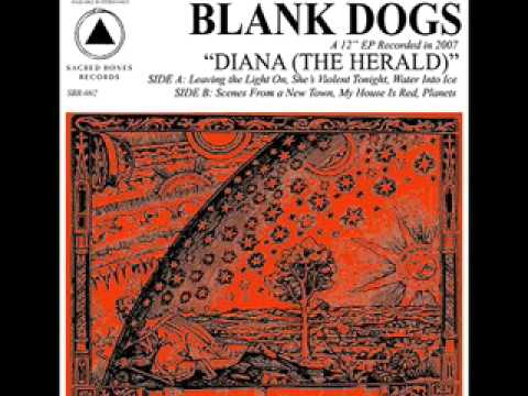 Blank Dogs - Leaving the light on