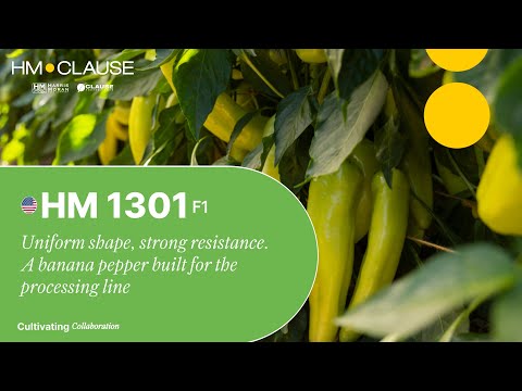 Video: HM 1301 F1