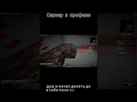 EPIC Griefing on Anarchy Server! 6hr Madness | #shorts #minecraft