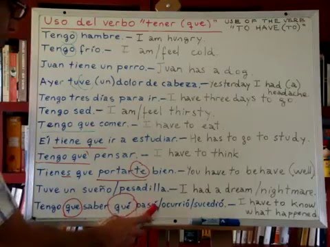 Free Spanish Lessons 161 - Spanish verb TENER - Examples - Video 2/2